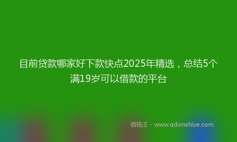 目前贷款哪家好下款快点2025年精选，总结5个满19岁可以借款的平台