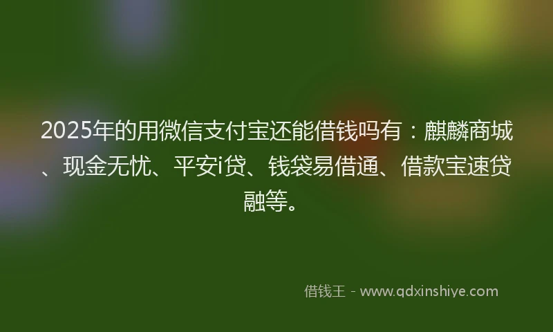 2025年的用微信支付宝还能借钱吗有：麒麟商城、现金无忧、平安i贷、钱袋易借通、借款宝速贷融等。