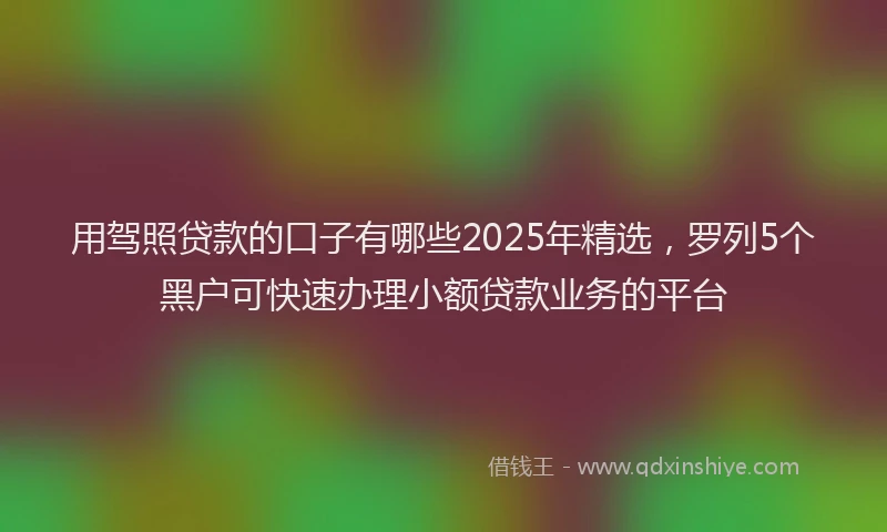 用驾照贷款的口子有哪些2025年精选，罗列5个黑户可快速办理小额贷款业务的平台