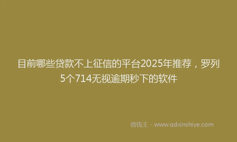 目前哪些贷款不上征信的平台2025年推荐，罗列5个714无视逾期秒下的软件