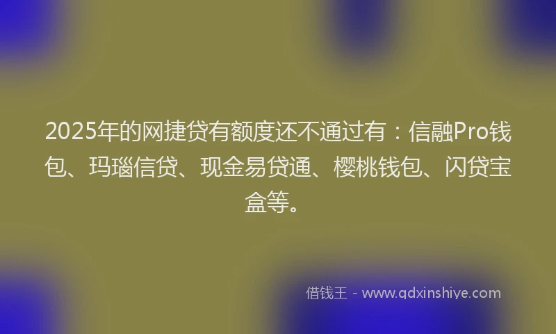 2025年的网捷贷有额度还不通过有：信融Pro钱包、玛瑙信贷、现金易贷通、樱桃钱包、闪贷宝盒等。