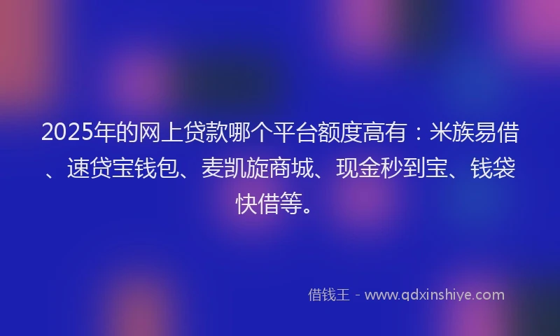 2025年的网上贷款哪个平台额度高有：米族易借、速贷宝钱包、麦凯旋商城、现金秒到宝、钱袋快借等。