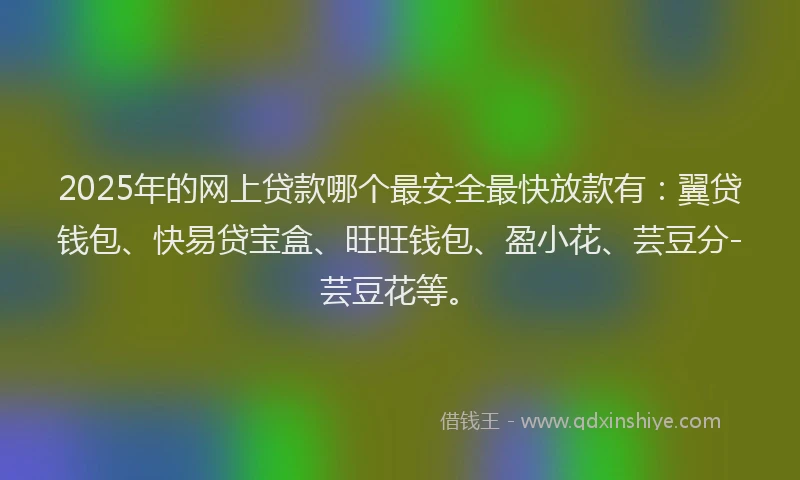 2025年的网上贷款哪个最安全最快放款有：翼贷钱包、快易贷宝盒、旺旺钱包、盈小花、芸豆分-芸豆花等。