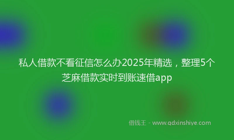 私人借款不看征信怎么办2025年精选，整理5个芝麻借款实时到账速借app