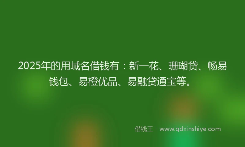 2025年的用域名借钱有：新一花、珊瑚贷、畅易钱包、易橙优品、易融贷通宝等。
