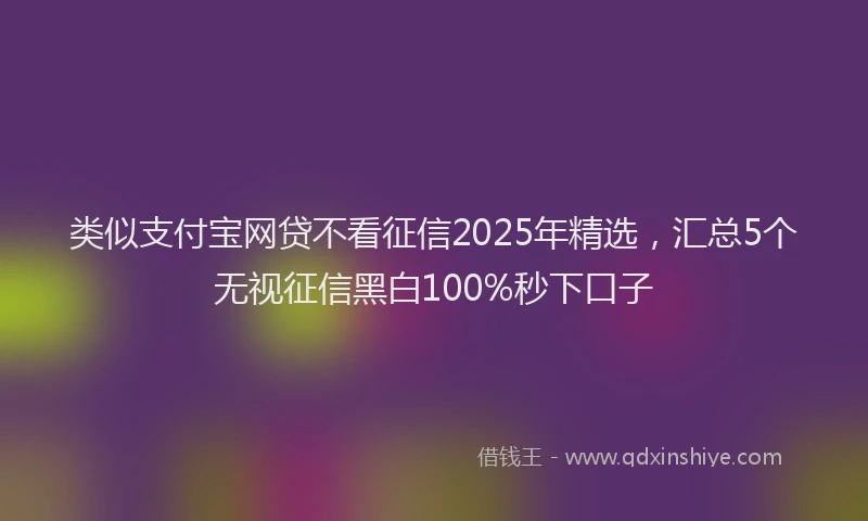 类似支付宝网贷不看征信2025年精选，汇总5个无视征信黑白100%秒下口子