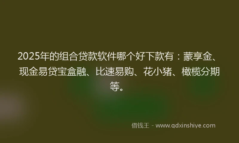 2025年的组合贷款软件哪个好下款有：蒙享金、现金易贷宝盒融、比速易购、花小猪、橄榄分期等。