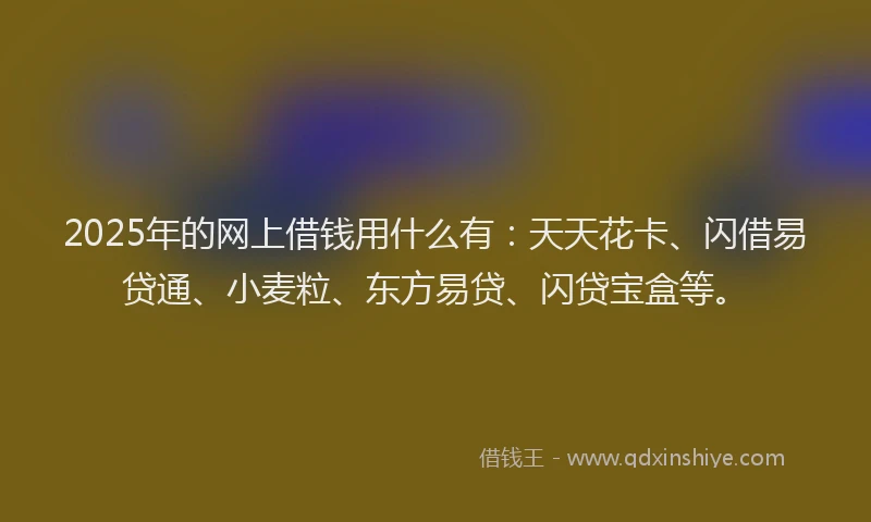 2025年的网上借钱用什么有：天天花卡、闪借易贷通、小麦粒、东方易贷、闪贷宝盒等。