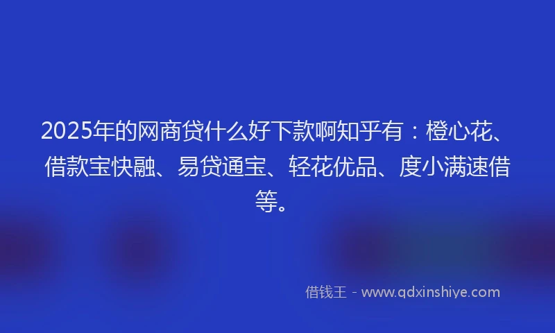 2025年的网商贷什么好下款啊知乎有：橙心花、借款宝快融、易贷通宝、轻花优品、度小满速借等。