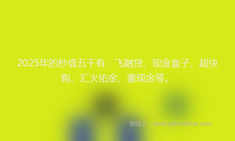 2025年的秒借五千有：飞融贷、现金盒子、超快购、汇火佑金、壹现金等。