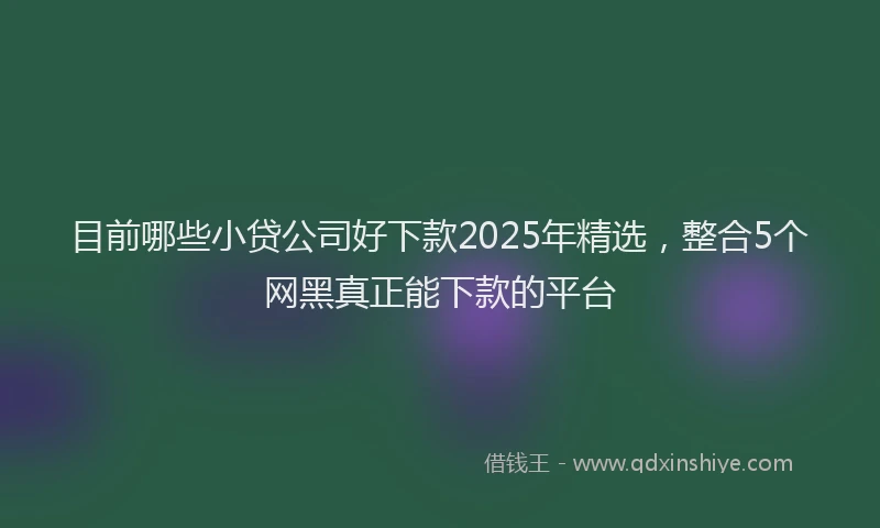 目前哪些小贷公司好下款2025年精选，整合5个网黑真正能下款的平台