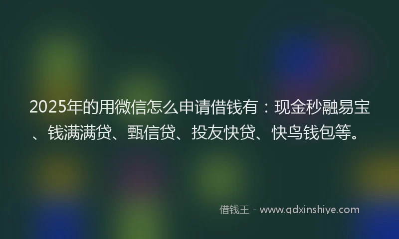 2025年的用微信怎么申请借钱有：现金秒融易宝、钱满满贷、甄信贷、投友快贷、快鸟钱包等。