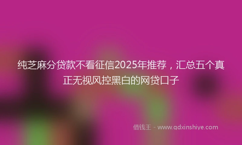 纯芝麻分贷款不看征信2025年推荐，汇总五个真正无视风控黑白的网贷口子