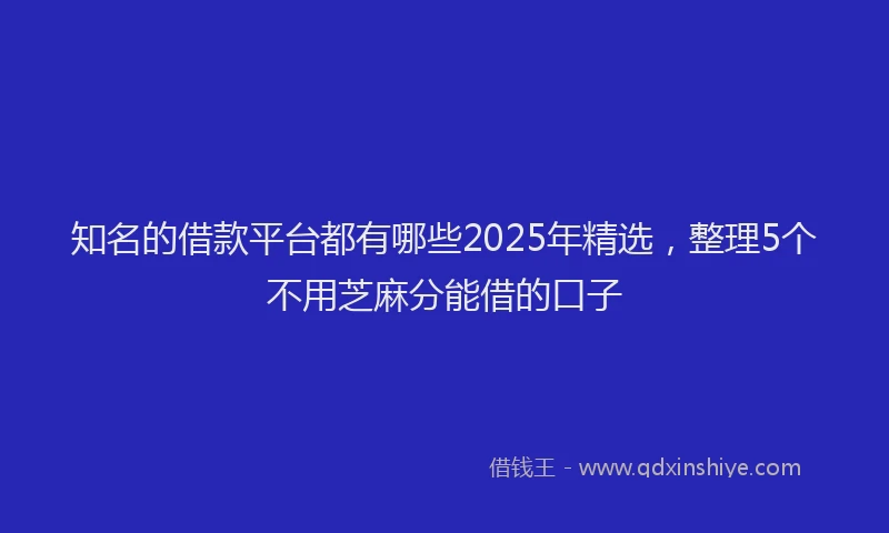 知名的借款平台都有哪些2025年精选，整理5个不用芝麻分能借的口子