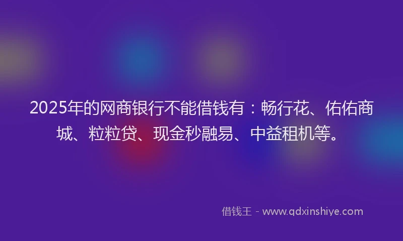 2025年的网商银行不能借钱有：畅行花、佑佑商城、粒粒贷、现金秒融易、中益租机等。