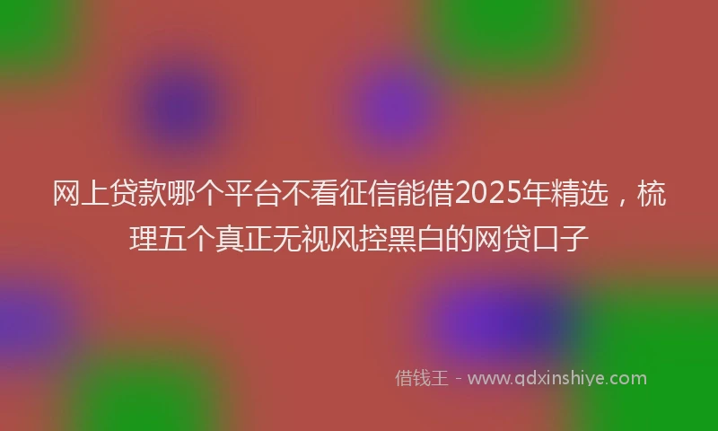 网上贷款哪个平台不看征信能借2025年精选，梳理五个真正无视风控黑白的网贷口子