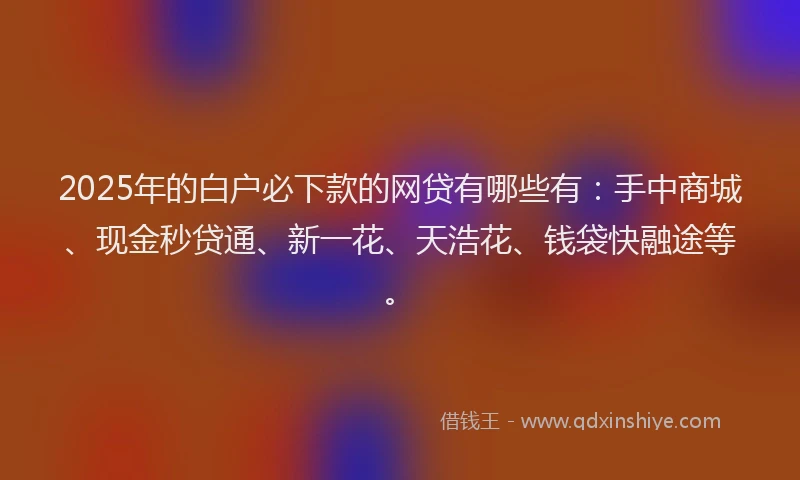 2025年的白户必下款的网贷有哪些有：手中商城、现金秒贷通、新一花、天浩花、钱袋快融途等。