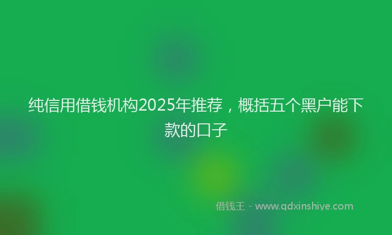 纯信用借钱机构2025年推荐，概括五个黑户能下款的口子