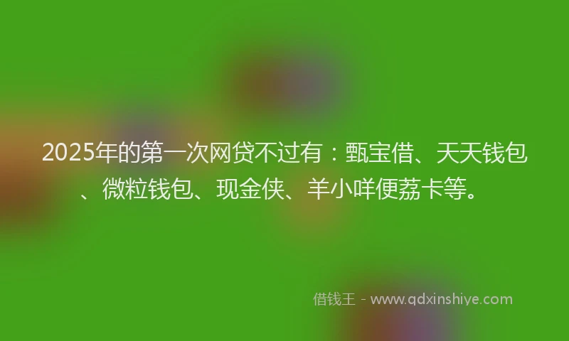 2025年的第一次网贷不过有：甄宝借、天天钱包、微粒钱包、现金侠、羊小咩便荔卡等。