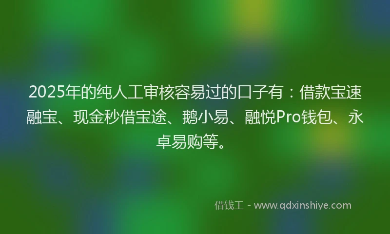 2025年的纯人工审核容易过的口子有：借款宝速融宝、现金秒借宝途、鹅小易、融悦Pro钱包、永卓易购等。