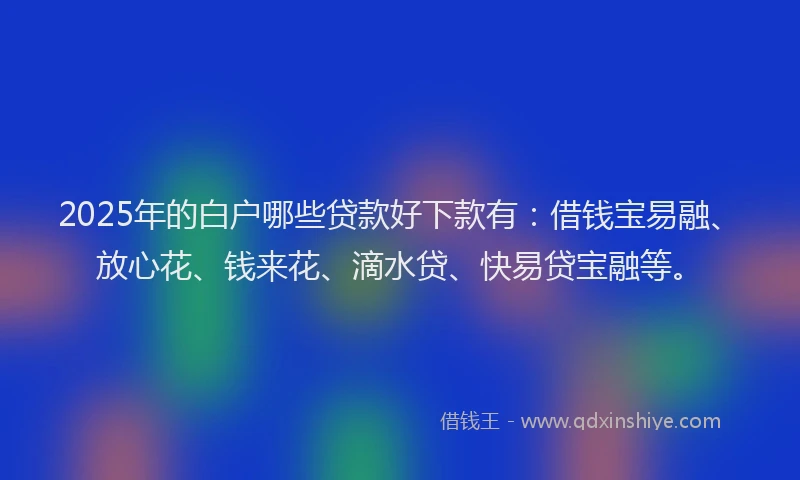 2025年的白户哪些贷款好下款有：借钱宝易融、放心花、钱来花、滴水贷、快易贷宝融等。