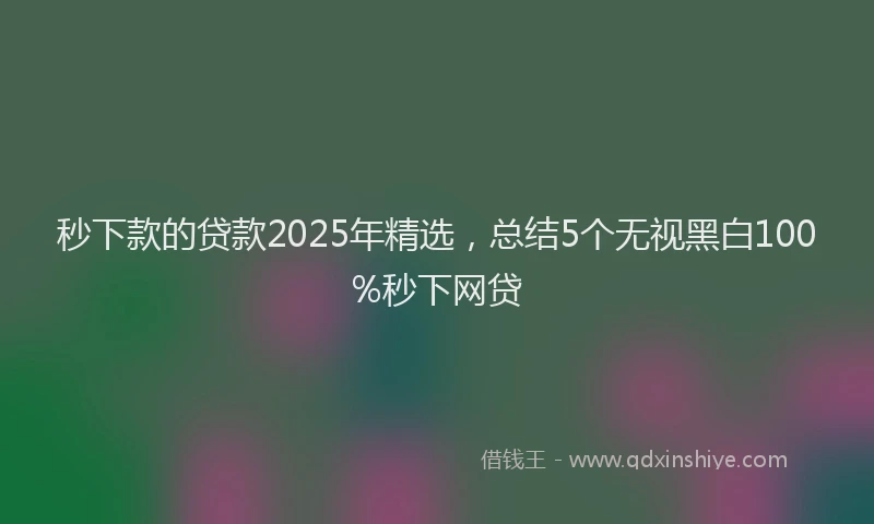 秒下款的贷款2025年精选，总结5个无视黑白100%秒下网贷