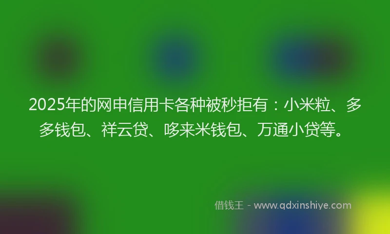 2025年的网申信用卡各种被秒拒有：小米粒、多多钱包、祥云贷、哆来米钱包、万通小贷等。