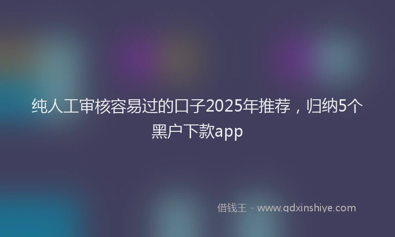 纯人工审核容易过的口子2025年推荐，归纳5个黑户下款app