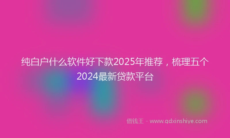 纯白户什么软件好下款2025年推荐，梳理五个2024最新贷款平台