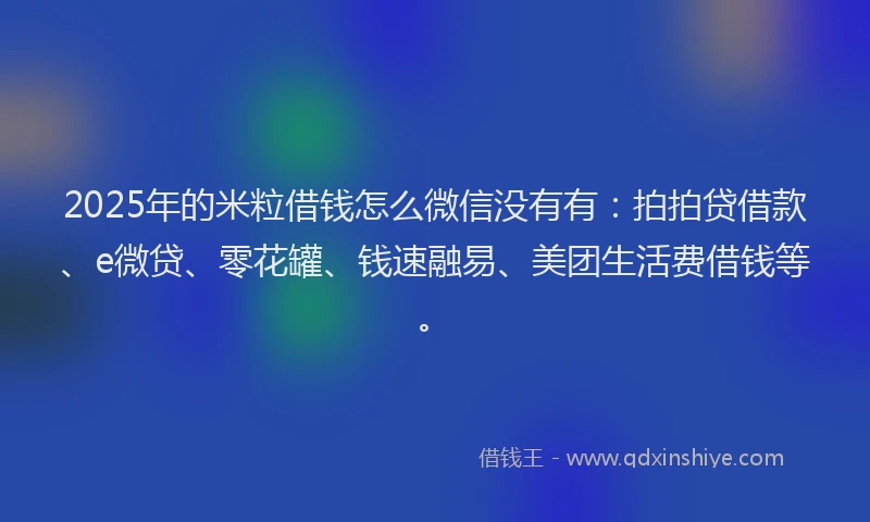 2025年的米粒借钱怎么微信没有有：拍拍贷借款、e微贷、零花罐、钱速融易、美团生活费借钱等。