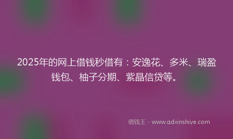 2025年的网上借钱秒借有：安逸花、多米、瑞盈钱包、柚子分期、紫晶信贷等。