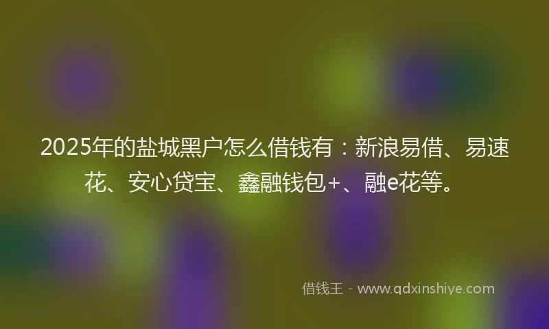 2025年的盐城黑户怎么借钱有：新浪易借、易速花、安心贷宝、鑫融钱包+、融e花等。