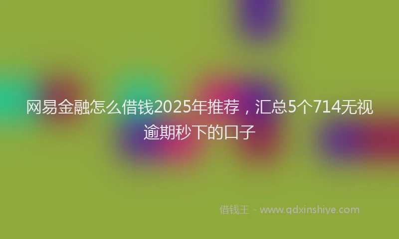网易金融怎么借钱2025年推荐，汇总5个714无视逾期秒下的口子