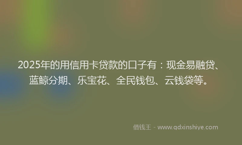 2025年的用信用卡贷款的口子有：现金易融贷、蓝鲸分期、乐宝花、全民钱包、云钱袋等。