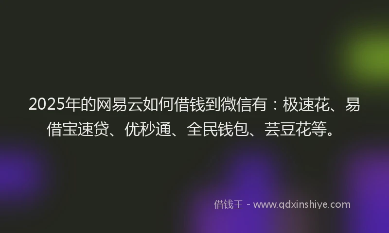 2025年的网易云如何借钱到微信有：极速花、易借宝速贷、优秒通、全民钱包、芸豆花等。