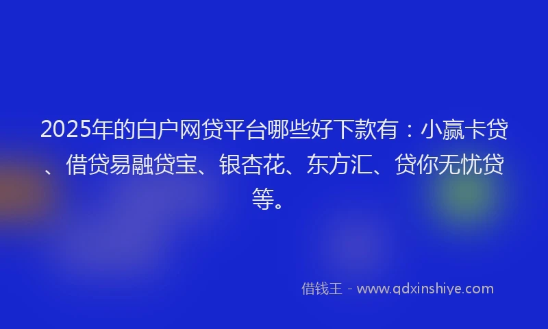 2025年的白户网贷平台哪些好下款有：小赢卡贷、借贷易融贷宝、银杏花、东方汇、贷你无忧贷等。