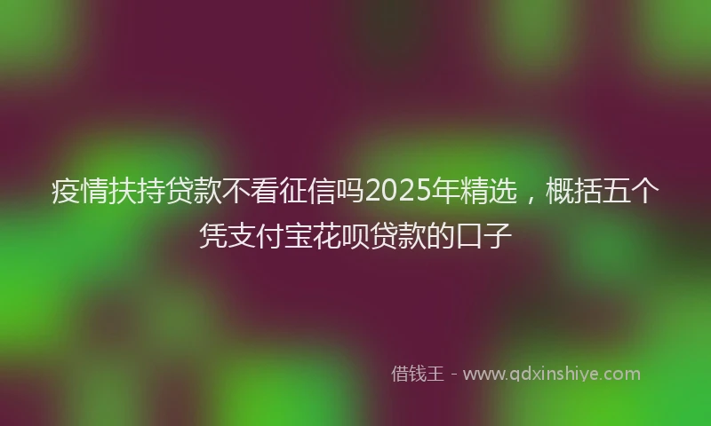 疫情扶持贷款不看征信吗2025年精选，概括五个凭支付宝花呗贷款的口子