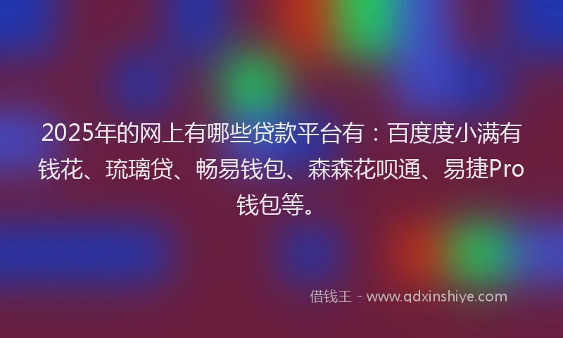 2025年的网上有哪些贷款平台有：百度度小满有钱花、琉璃贷、畅易钱包、森森花呗通、易捷Pro钱包等。