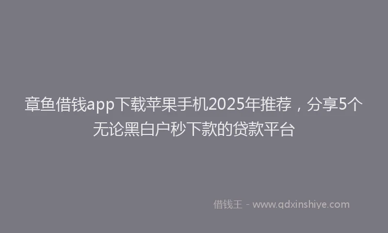 章鱼借钱app下载苹果手机2025年推荐，分享5个无论黑白户秒下款的贷款平台