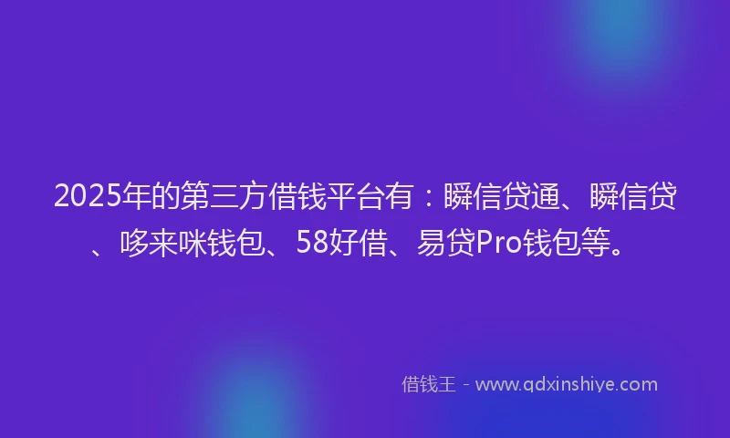 2025年的第三方借钱平台有：瞬信贷通、瞬信贷、哆来咪钱包、58好借、易贷Pro钱包等。