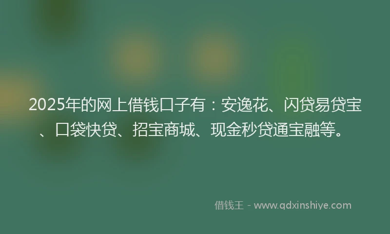 2025年的网上借钱口子有：安逸花、闪贷易贷宝、口袋快贷、招宝商城、现金秒贷通宝融等。