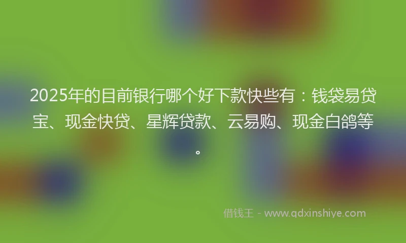 2025年的目前银行哪个好下款快些有：钱袋易贷宝、现金快贷、星辉贷款、云易购、现金白鸽等。