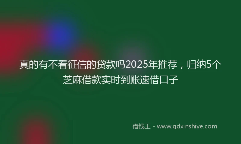 真的有不看征信的贷款吗2025年推荐，归纳5个芝麻借款实时到账速借口子