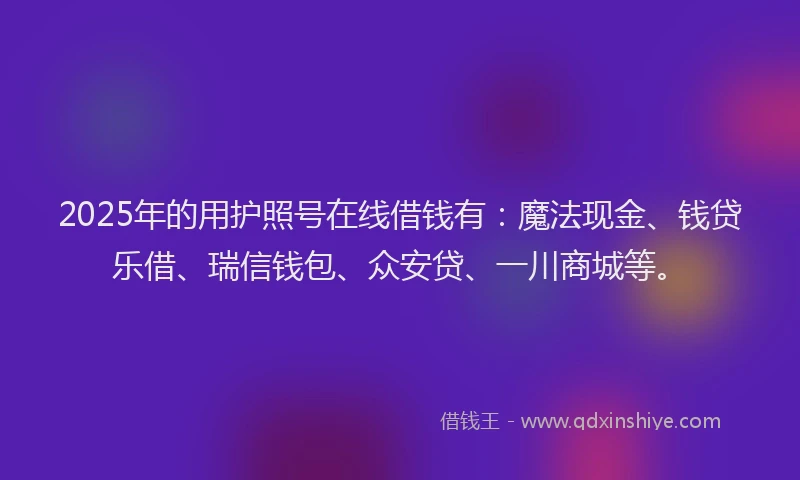 2025年的用护照号在线借钱有：魔法现金、钱贷乐借、瑞信钱包、众安贷、一川商城等。