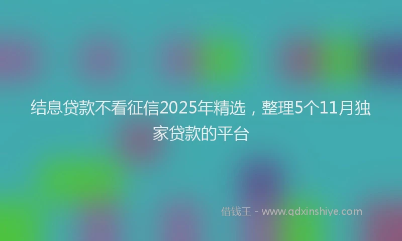 结息贷款不看征信2025年精选，整理5个11月独家贷款的平台