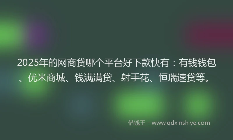 2025年的网商贷哪个平台好下款快有：有钱钱包、优米商城、钱满满贷、射手花、恒瑞速贷等。