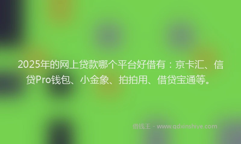 2025年的网上贷款哪个平台好借有：京卡汇、信贷Pro钱包、小金象、拍拍用、借贷宝通等。