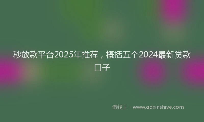 秒放款平台2025年推荐，概括五个2024最新贷款口子