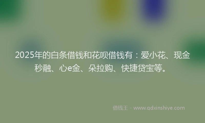 2025年的白条借钱和花呗借钱有：爱小花、现金秒融、心e金、朵拉购、快捷贷宝等。
