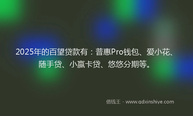 2025年的百望贷款有：普惠Pro钱包、爱小花、随手贷、小赢卡贷、悠悠分期等。